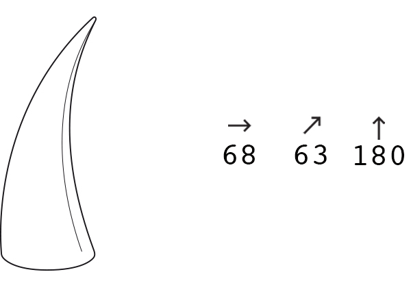 Dimensioni: